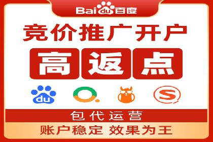 百度竞价公司运营策略：成功案例解析